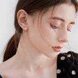 14k Gold Dinosaur Earrings for Women Girls Hypoallergenic